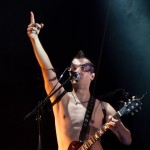 Скворцы Степанова