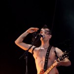 Скворцы Степанова