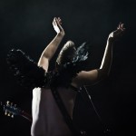 Скворцы Степанова