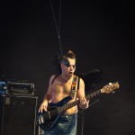 Скворцы Степанова