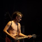 Скворцы Степанова