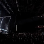 Скворцы Степанова