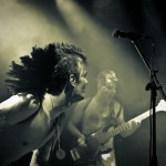 Скворцы Степанова