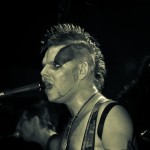 Скворцы Степанова