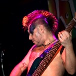 Скворцы Степанова