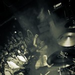 Скворцы Степанова