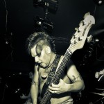 Скворцы Степанова