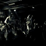 Скворцы Степанова