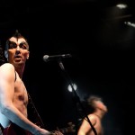 Скворцы Степанова