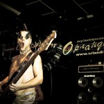 Скворцы Степанова