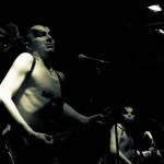 Скворцы Степанова