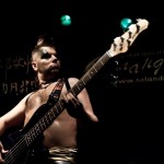 Скворцы Степанова