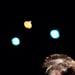 Скворцы Степанова