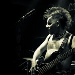 Скворцы Степанова