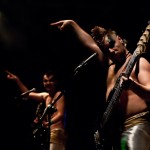 Скворцы Степанова