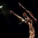 Скворцы Степанова