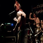 Скворцы Степанова