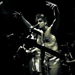 Скворцы Степанова