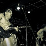 Скворцы Степанова