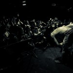 Скворцы Степанова