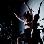 Скворцы Степанова в Пскове