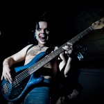 Скворцы Степанова в Пскове