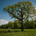 Lovestory в яблоневом саду