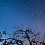 Звёздные треки