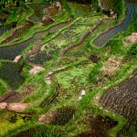 Рисовые террасы на острове Бали